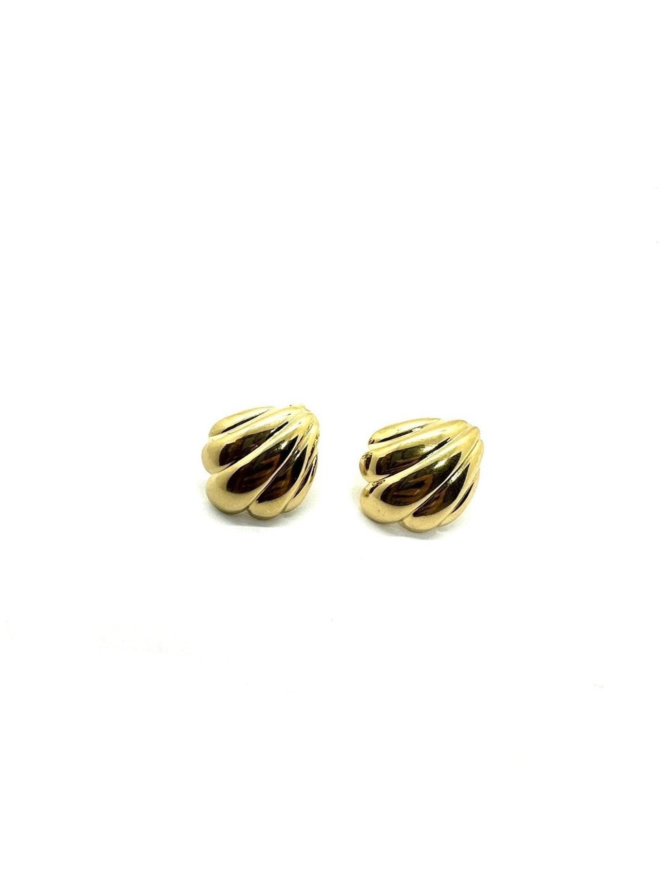 Shell Earrings